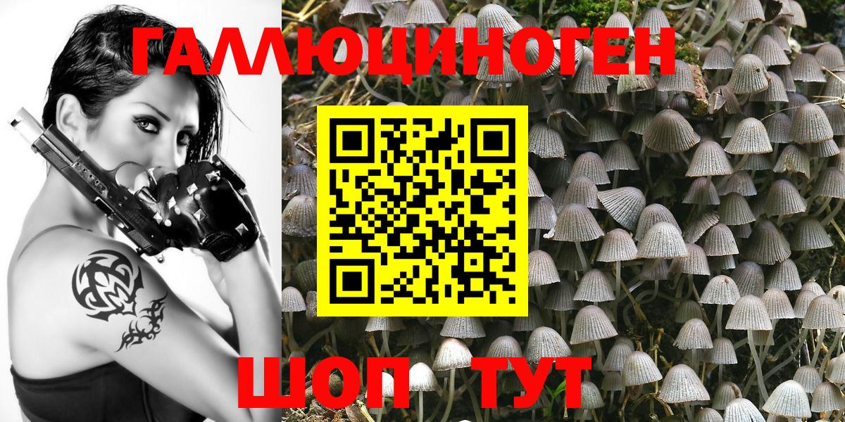 наркошоп  Галлюциногенные грибы мухоморы  Вход с VPN  Острогожск 